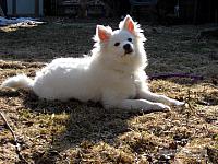 2009_03_14 - Day 1_0888-web.jpg