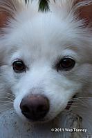 2011 06 01-Odinn-9906-web