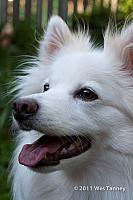 2011 06 01-Odinn-9912-web