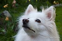 2011 06 01-Odinn-9919-web