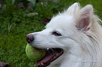 2011 06 01-Odinn-9925-web