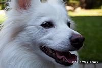 2011 10 07-Odinn-0404-web