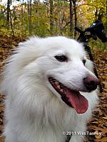 2011 11 04-Odinn-0024-web