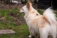 2012 04 08-Backyard 2682a-web