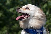 2012 06 29-Brockville 6417a-web