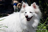 2012 06 30-Brockville 6640a-web