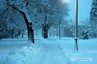 2008_02_06-Park Snow-0110b.JPG
