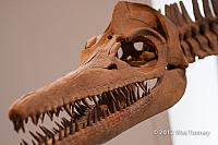 2012 07 02-ROM 7047a-web