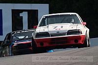 CRW_7901.JPG